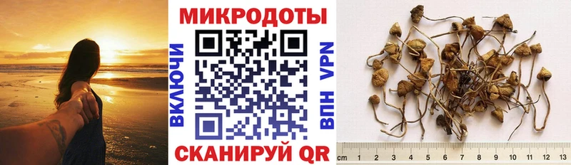 Псилоцибиновые грибы Cubensis  Саянск 